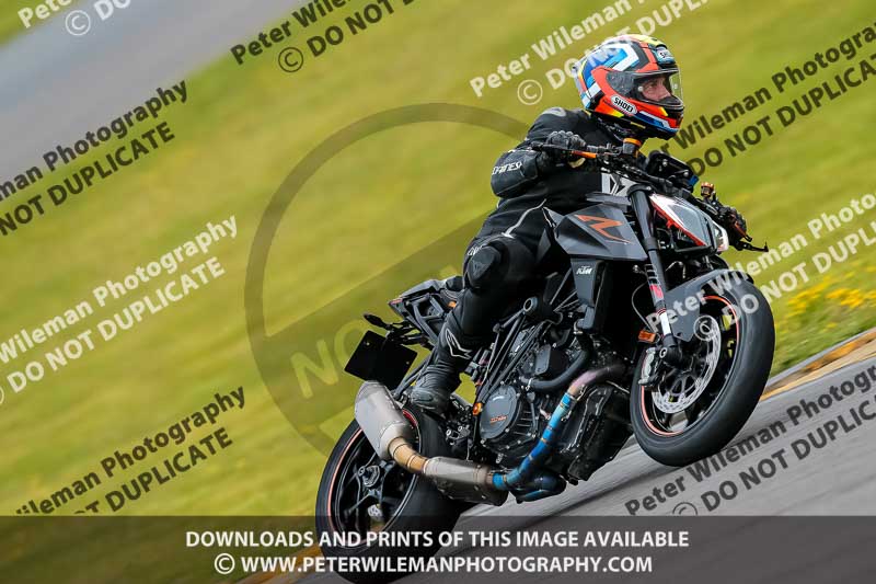 PJ Motorsport 2019;anglesey no limits trackday;anglesey photographs;anglesey trackday photographs;enduro digital images;event digital images;eventdigitalimages;no limits trackdays;peter wileman photography;racing digital images;trac mon;trackday digital images;trackday photos;ty croes